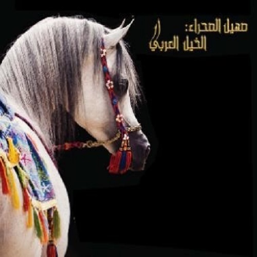 الخيل العربي: صهيل الصّحراء