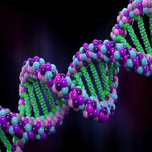 أثار الحمض النووي - Archaeologists Of DNA