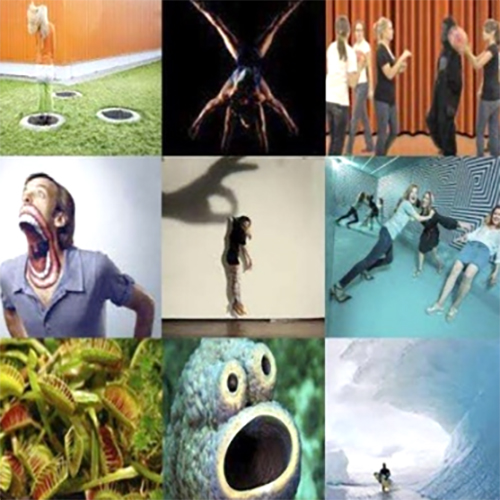 عالم المعرفة       